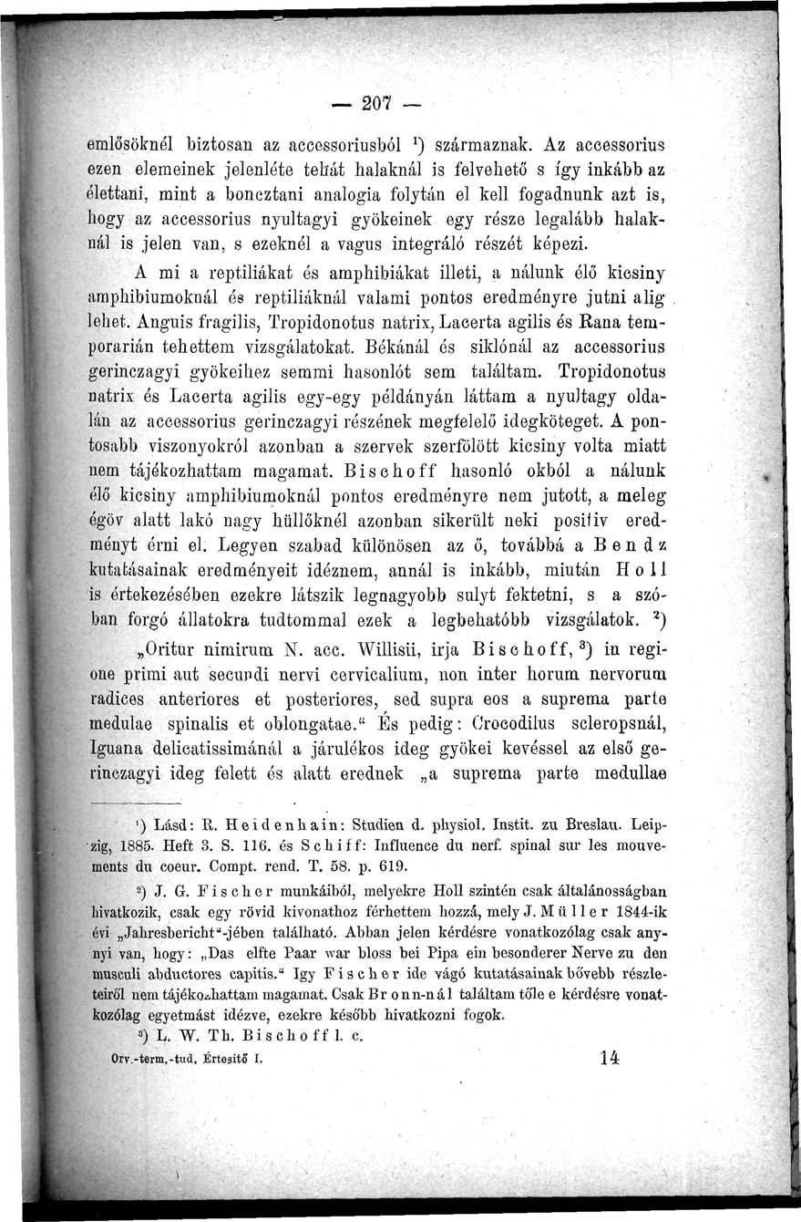 207 emlősöknél biztosan az accessoriusból ') származnak.