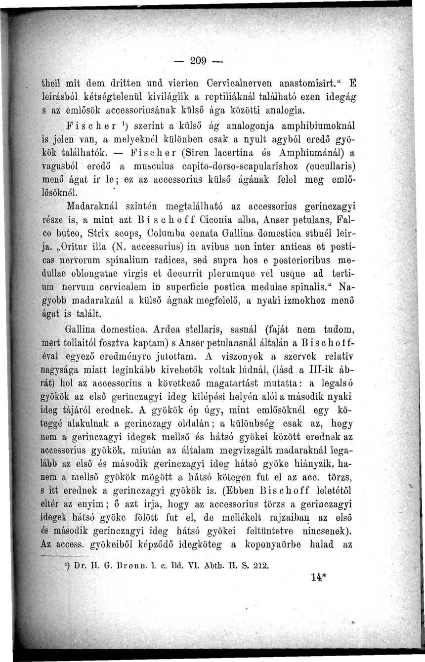 209 theil mit dem dritten und vierten Oervicalnerveii anastomisirt." E leírásból kétségtelenül kiviláglik a reptiliáknál található ezen idegág s az emlősök accessoriusának külső ága közötti analógia.