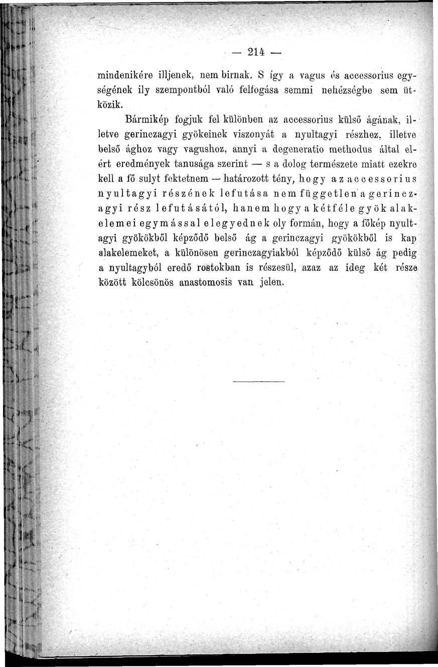 - 214 mindenikére üljenek, nem birnak. S így a vagus és aceessorius egységének ily szempontból való felfogása semmi nehézségbe sem ütközik.