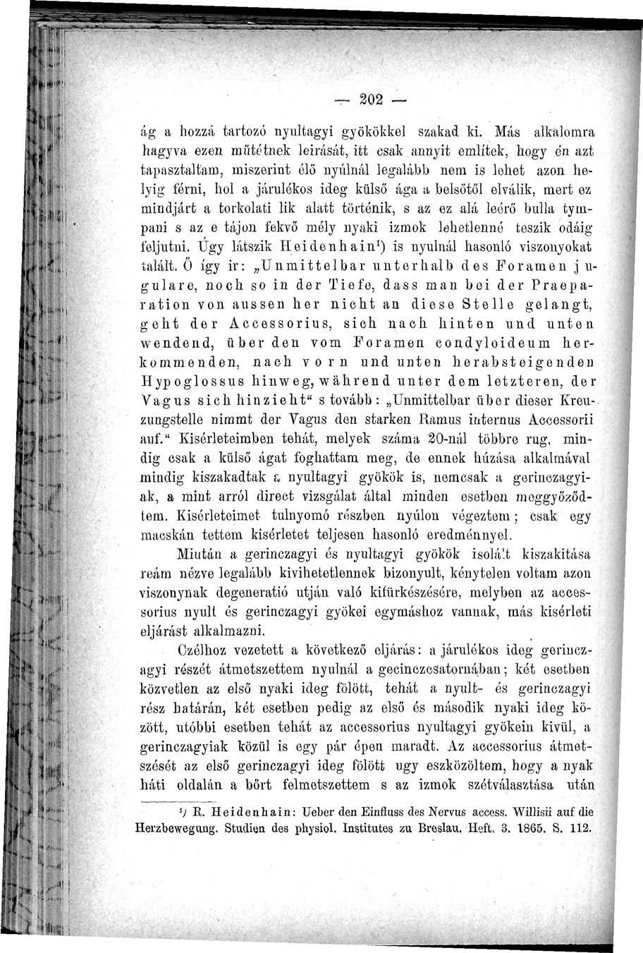 202 ág a hozzá tartozó nyultagyi gyökökkel szakad ki.