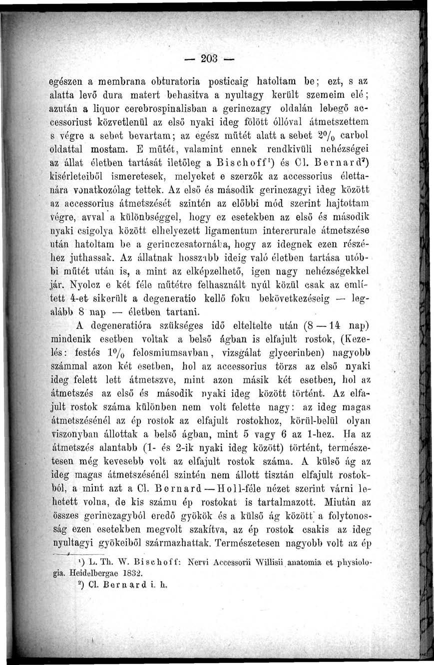 203 egészen a membrana obturatoria posticaig hatoltam be; ezt, s az alatta levő dura matert behasitva a nyultagy került szemeim elé; azután a liquor cerebrospinalisban a gerinczagy oldalán lebegő