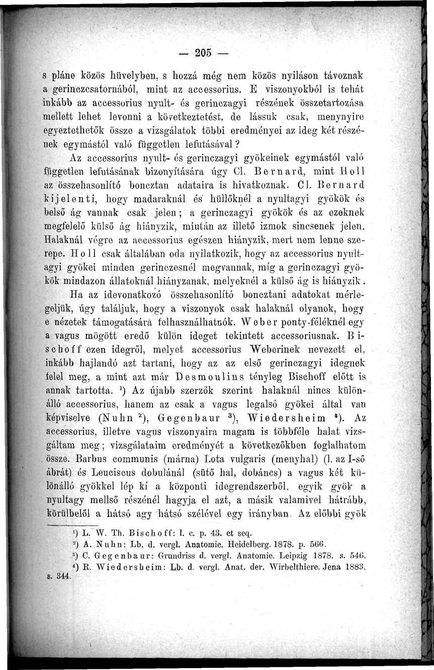 - 205 s pláne közös hüvelyben, s hozzá még nem közös nyilason távoznak a gerinezcsatornából, mint az accessorius.