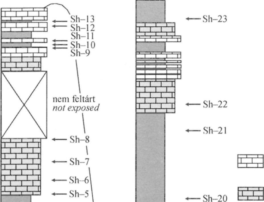 7 Generalized lithological column with the sampling points of the Pécsely Member (Sándorhegy Formation), Nosztor Valley section