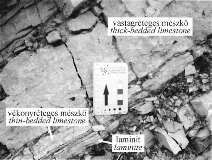 locality (modified after NAGY 1999) 6. ábra.