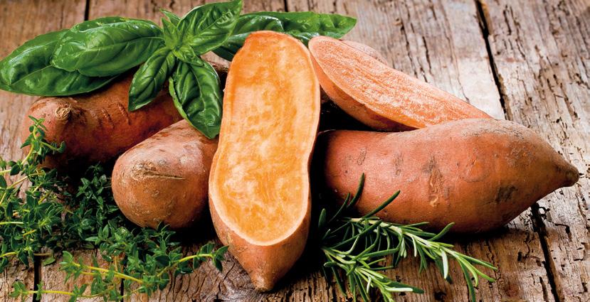 Nem minden burgonya, ami annak látszik Hát igen, az édesburgonya, azaz a batáta nem is burgonya! Hanem a hajnalkák nemzetségébe tartozó, édesburgonya nevű növény (Ipomoea batatas) gumója.
