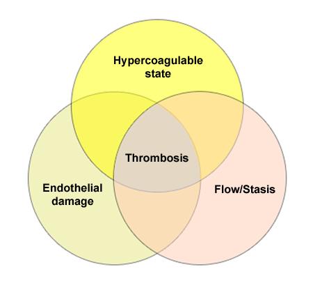 károsodás vasodilatatio Hypercoagulability in Dogs: Pathophysiology by Dianne Kittrell, DVM, DACVIM, Larry