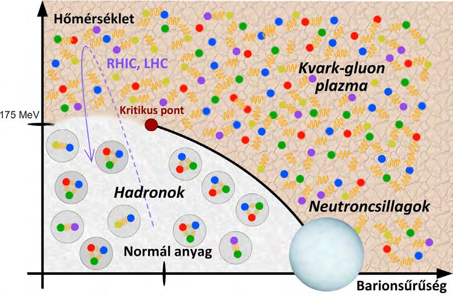 1. ábra. Fázisdiagram. A QCD által megjósolt fázishatárokat illusztrálja. kell visszakövetkeztetni az ott lezajló folyamatokra.