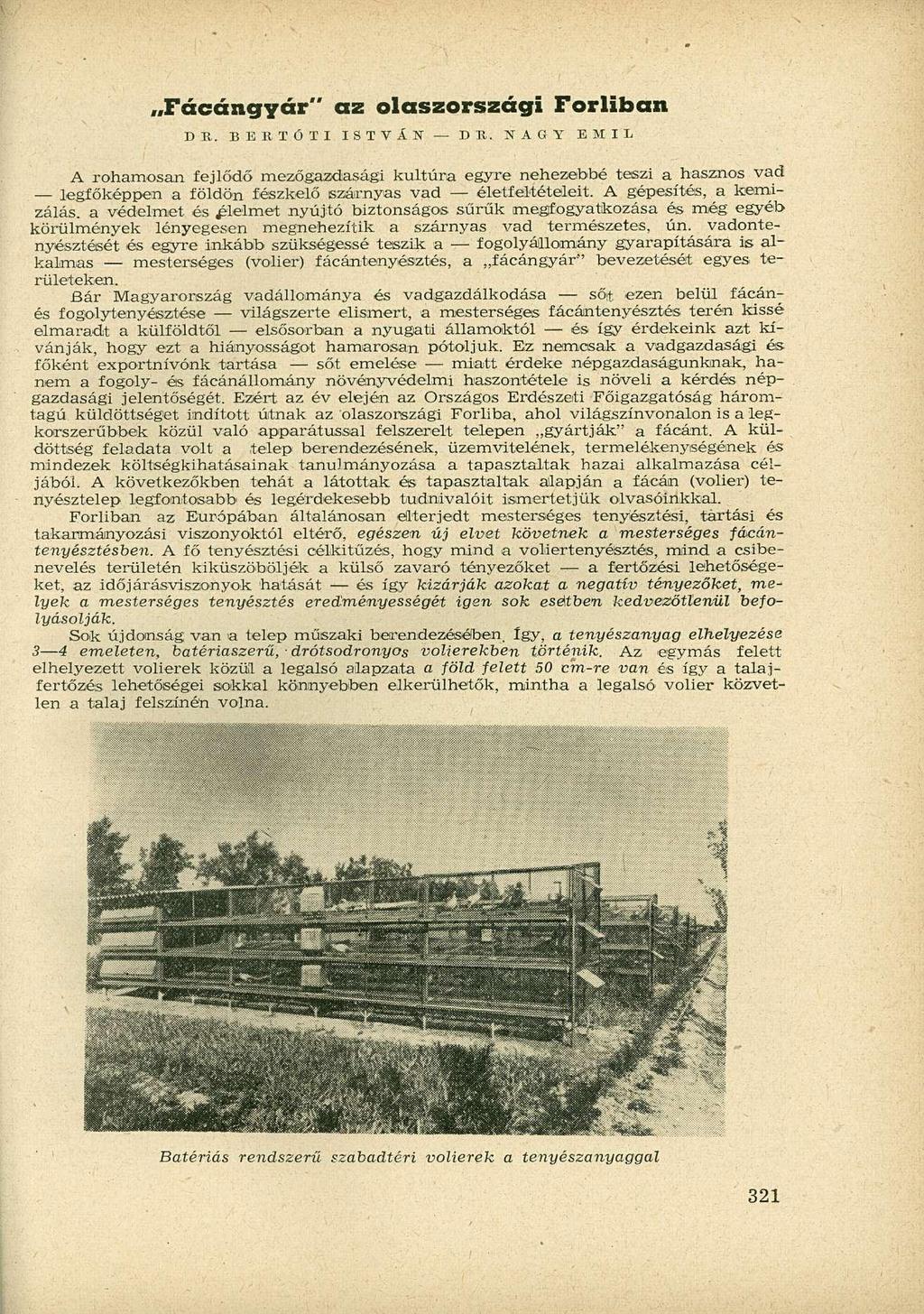Fácángyár" az olaszországi Forliban DB. B E R T Ő T I ISTVÁN D II.