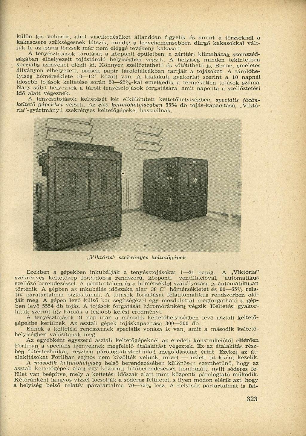 külön kis volierbe, ahol viselkedésüket állandóan figyelik és amint a törzseknél a kakascsere szükségesnek látszik, mindig a legvehemensebben dürgő kakasokkal váltják le az egyes törzsek már nem