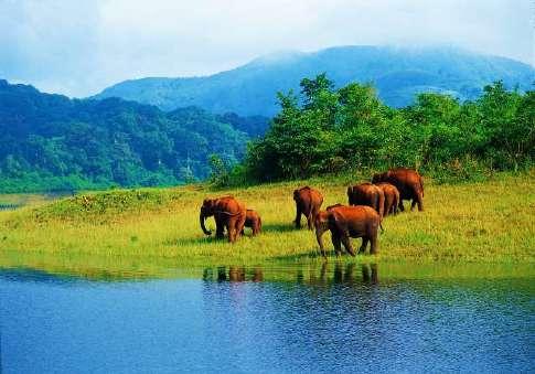 templom. Este fölfedezzük Kerala mesés hagyományait is.