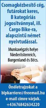 99070092 99070078 Győri élelmiszeripari cég ÁRUTERÍTŐ GÉPKOCSIVEZETŐT B, C JOGOSÍTVÁNNYAL TOVÁBBÁ GÉPKOCSIKÍSÉRŐT AZONNALI KEZDÉSSEL FELVESZ.