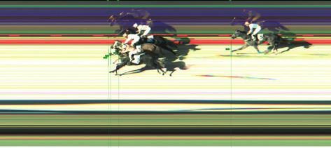 Tét: 4,3 Hely: 1,1/1,2/1 Befutó: 1-3/57,7 és 1 - nem induló/4,3 Hármasbefutó: 1-3-9/223,3 215. 6. BARNA ANDRÁS EMLÉKVERSENY HENDIKEP (I.o.