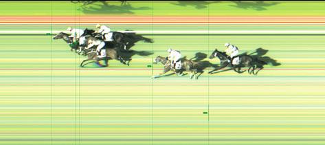 5 GER 4sher Pastorial Pursuits - Sahend / Danehill Dancer (Ziva Prunk (AUT)) - Stall Star Kingdom Racing, AUT II. (2) Greenpeace 62.5 Stanislav Georgiev 63.5 6.6 182 III. (1) Waslawi 65.
