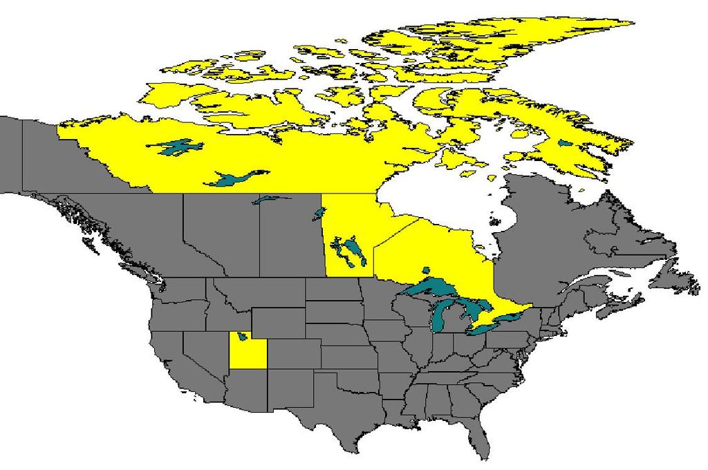 Geoinformatika a környezetvédelemben 6 8-7. ábra. Államok, melyek területén belül teljes területével tó található (aktív téma: states.shp és canada.shp) 8-8. ábra. Államok, melyek területén tó található (aktív téma: states.