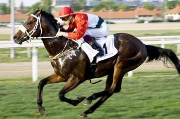 Overdose (Ch. Soumillon) 2009. április 19., OTP - Hungária Nagydíj A világklasszis mén Magyarországot - fél évszázados hallgatás után - ismét felhelyezte a világ lóversenytérképére.