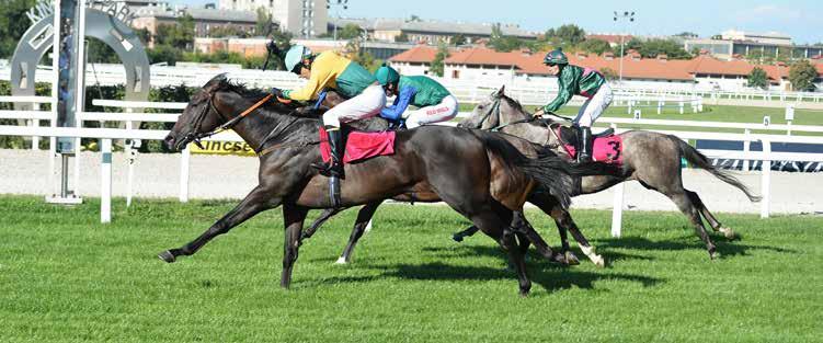 HÍREK Nemzeti Ügető és Galopp Liga - 2019 Két éve indult útjára ez a versenysorozat, mely tavaly egy szinttel feljebb lépett, annak is köszönhetően, hogy a Versenyszervező a duplájára, 8 millió