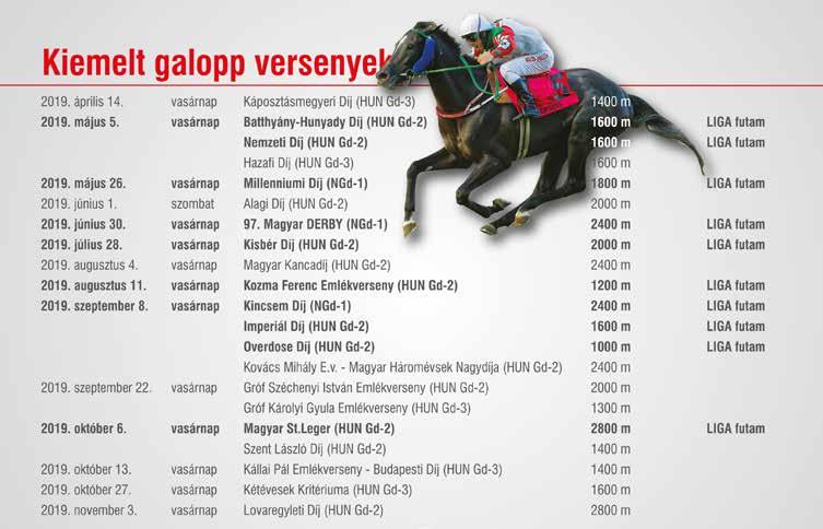 GALOPP 10 Need For Speed (SVK) 53.