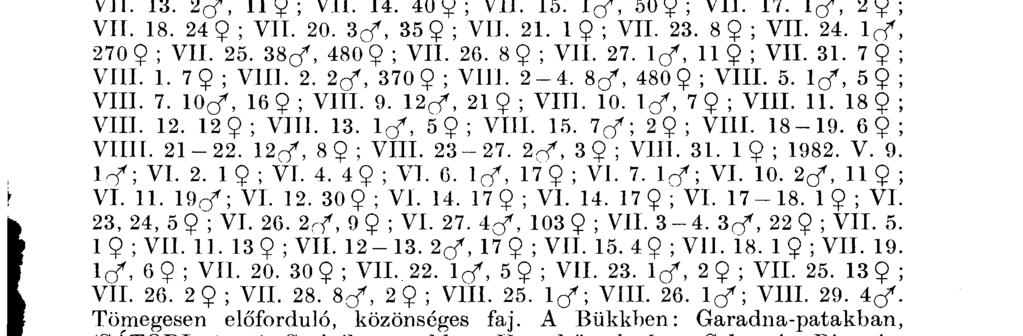 M á j u s t ó l j úl i u s végéig r e p ül. Glossosomatidae Genus : Synagapet us M ac L A C H L A N 3. Synagapetus moselyi U LM Eli: 1981. V. 2. 1(/ ; VI. 6. 2 r? \ VI. 15. 2 ^ ; 1982. V I. 11. V I. 14.