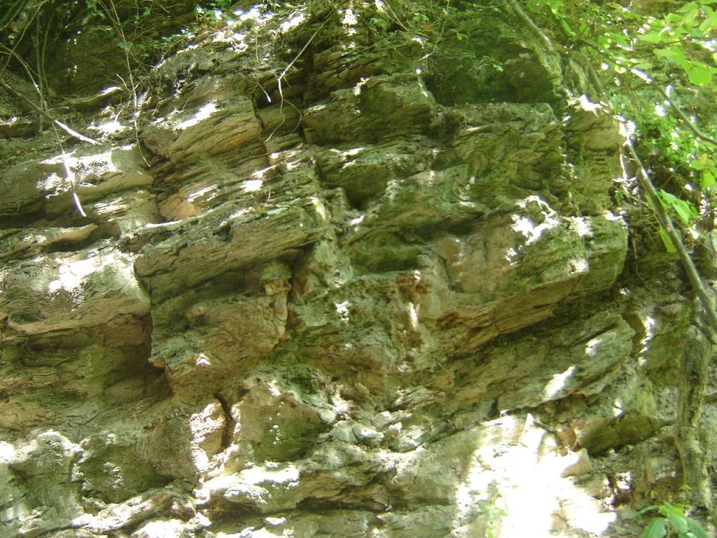 Kálvária hegy 9730 Kőszeg +36 30 337 0797 http://www. naturpark.