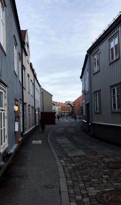 5. Norway trip I thought that it wouldn t be this great, but it was so good. I had so much fun and I learned a lot of things about Norway.