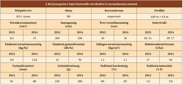 Kiváló gyümölcs A Red Jonaprincefajtának már a neve is árulkodó, ugyanis a Red szó egy karakteresen piros almát sejtet, a herceg, uralkodó jelentéssel bíró prince pedig egy kivételes tulajdonságokkal