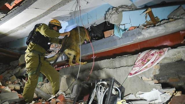 20. számú kép 2015-ben a nepáli földrengés helyszínén túlékők után kutat az Oketz kutyás egység forrás: ynet.news.com. forrás:https://www.ynetnews.com/articles/0,7340,l-4652310,00.