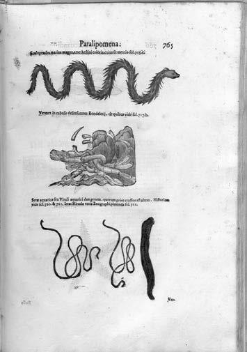 170 Viskolcz Noémi 7 8. kép.