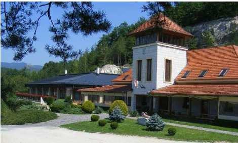pp.9-21. 14. Vissza az alapokhoz trend folytán kedveltebbé válnak a szabadidős célú utazás egyszerűbb formái: szálloda helyett bungaló, lakókocsi helyett sátor.