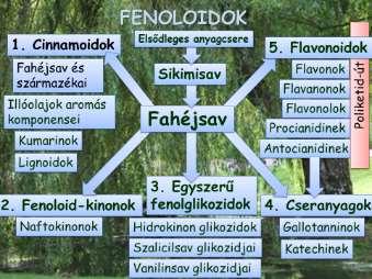 Keverékek: C 10 Monoterpének Illóolajok Aciklikus = nyílt láncú linalool, geraniol Lavandula,