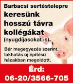 990 Ft 34.990 Ft Vadászruházat! Bakancsok Csizmák Cipők Pulóverek Polárfelsők Kabátok Nadrágok Ingek Pólók VC 2 Prémium porszívó 41.