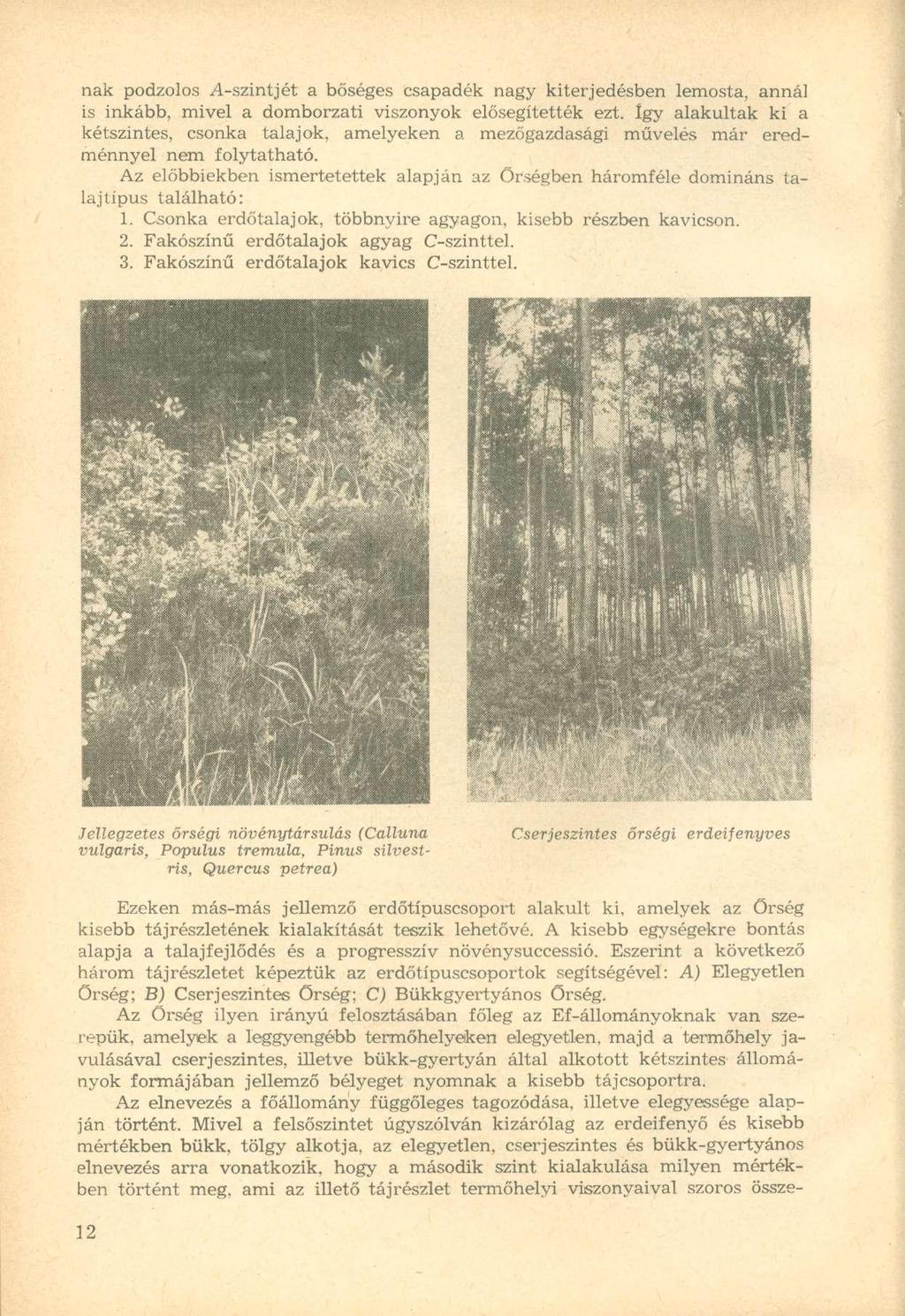 nak podzolos A-szintjét a bőséges csapadék nagy kiterjedésben lemosta, annál is inkább, mivel a domborzati viszonyok elősegítették ezt.