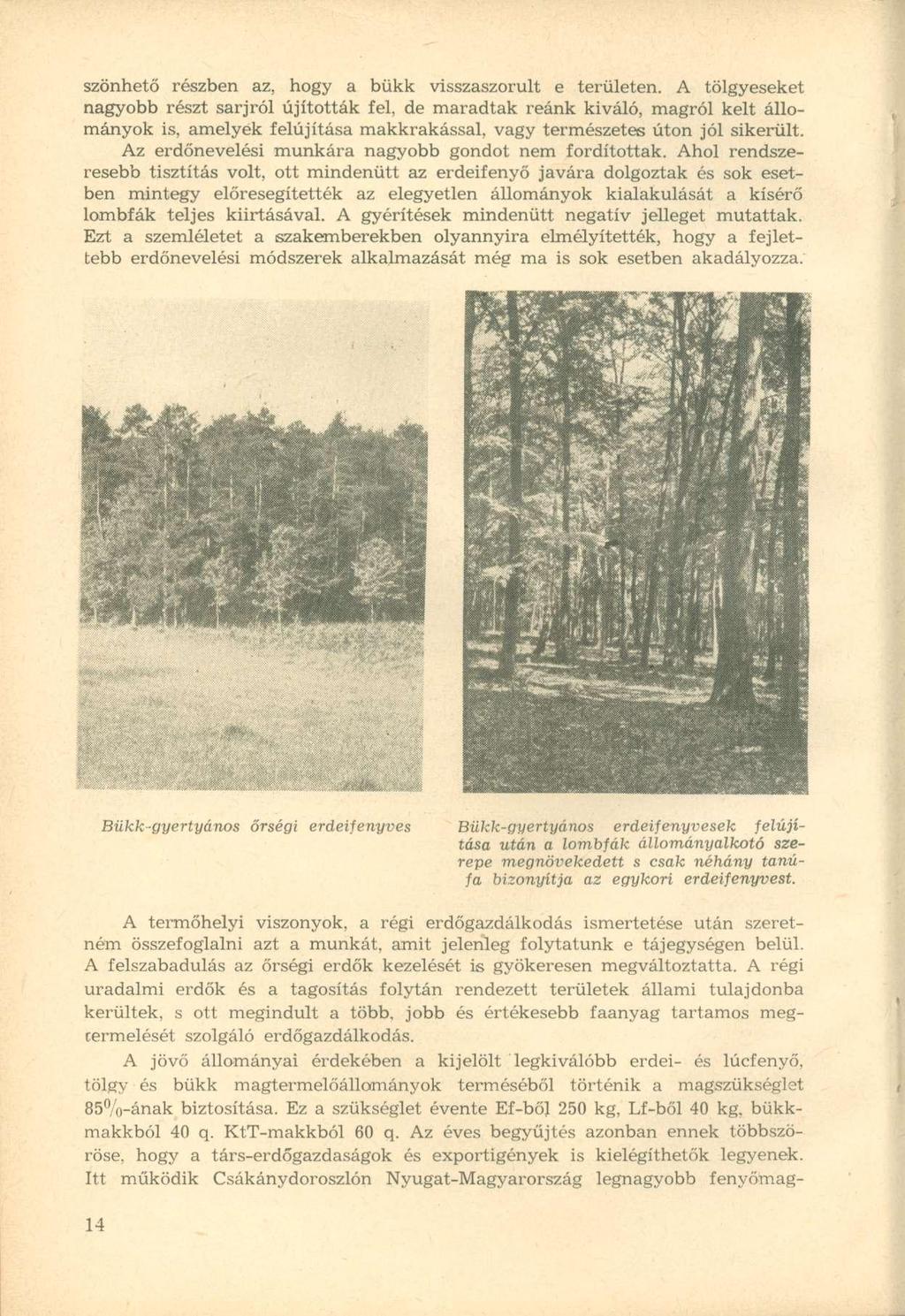 szönhető részben az, hogy a bükk visszaszorult e területen.