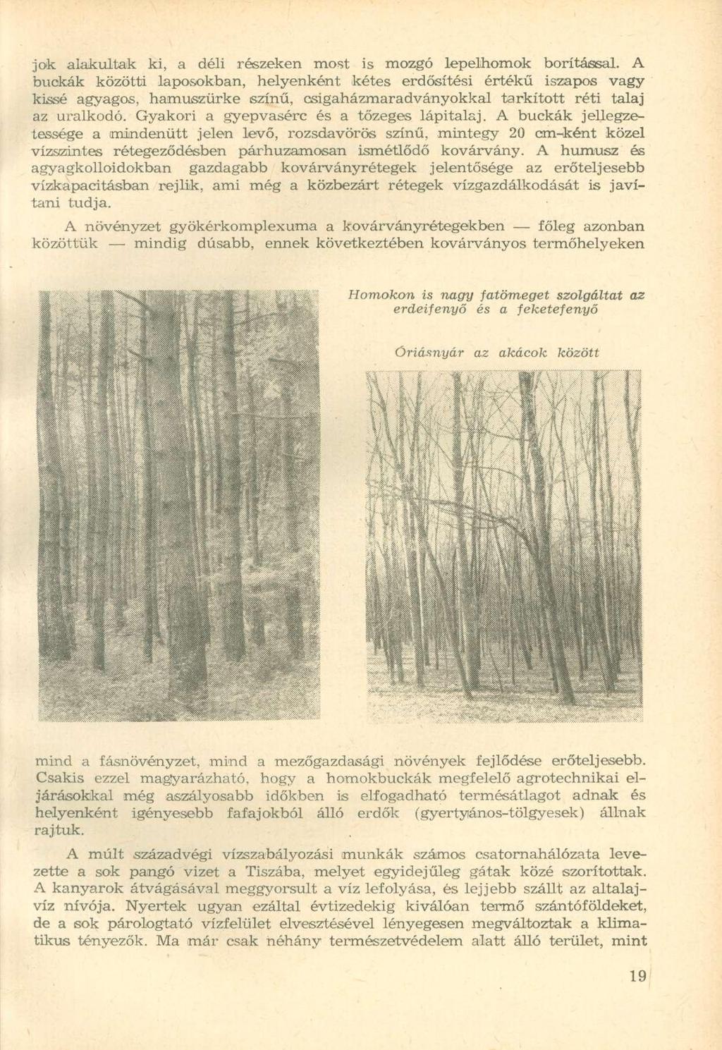 jok alakultak ki, a déli részeken most is mozgó lepelhomok borítással.