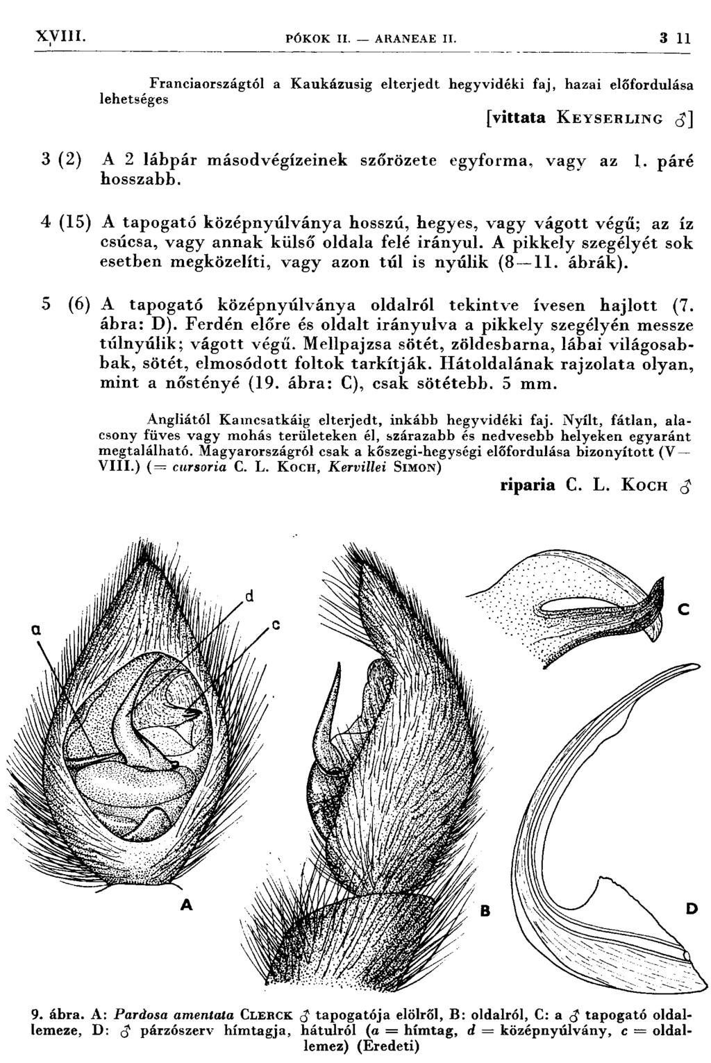 XVIII. PÓKOK II. ARANEAE II.