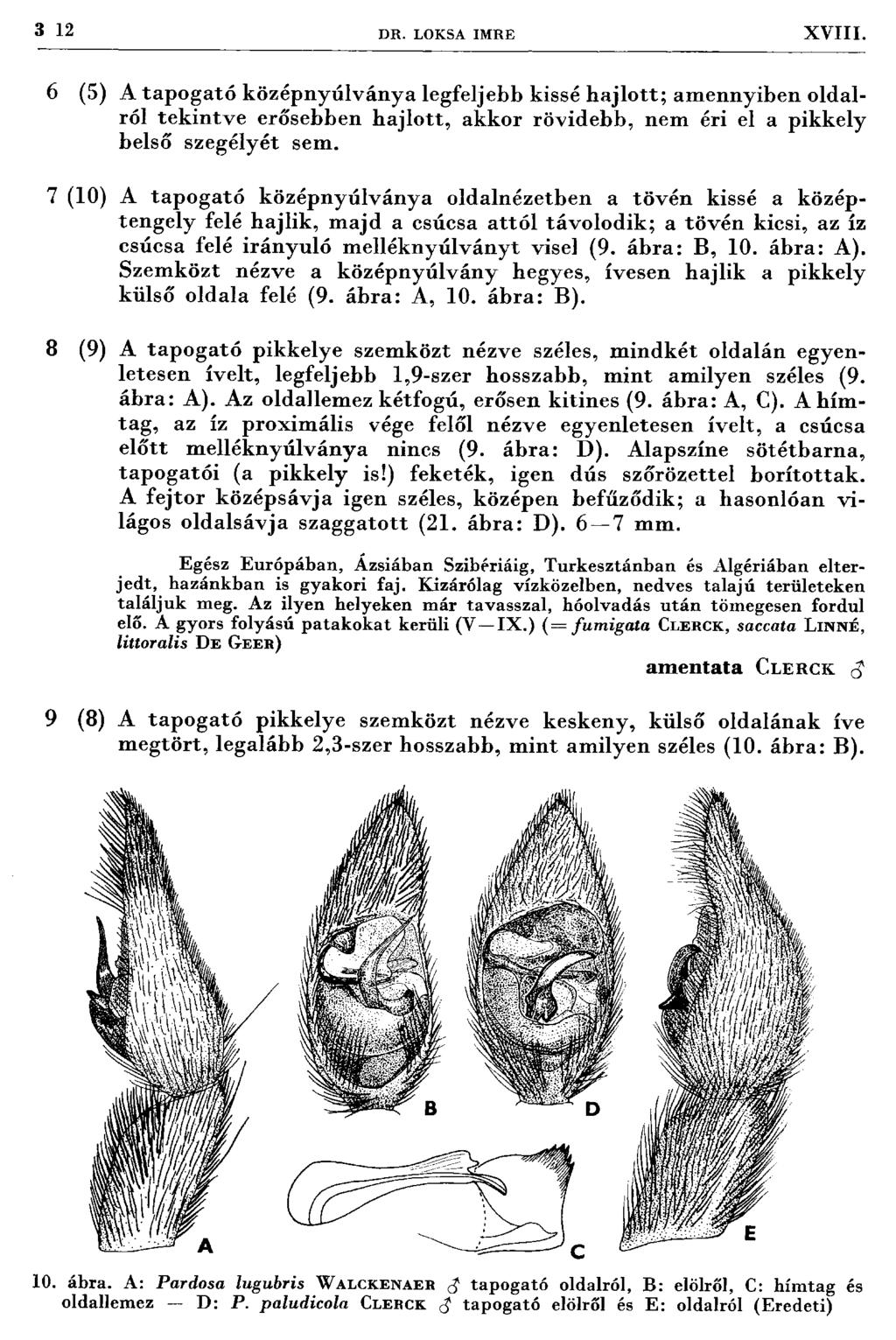 3 12 DR. LOKSA IM RE XVIII.