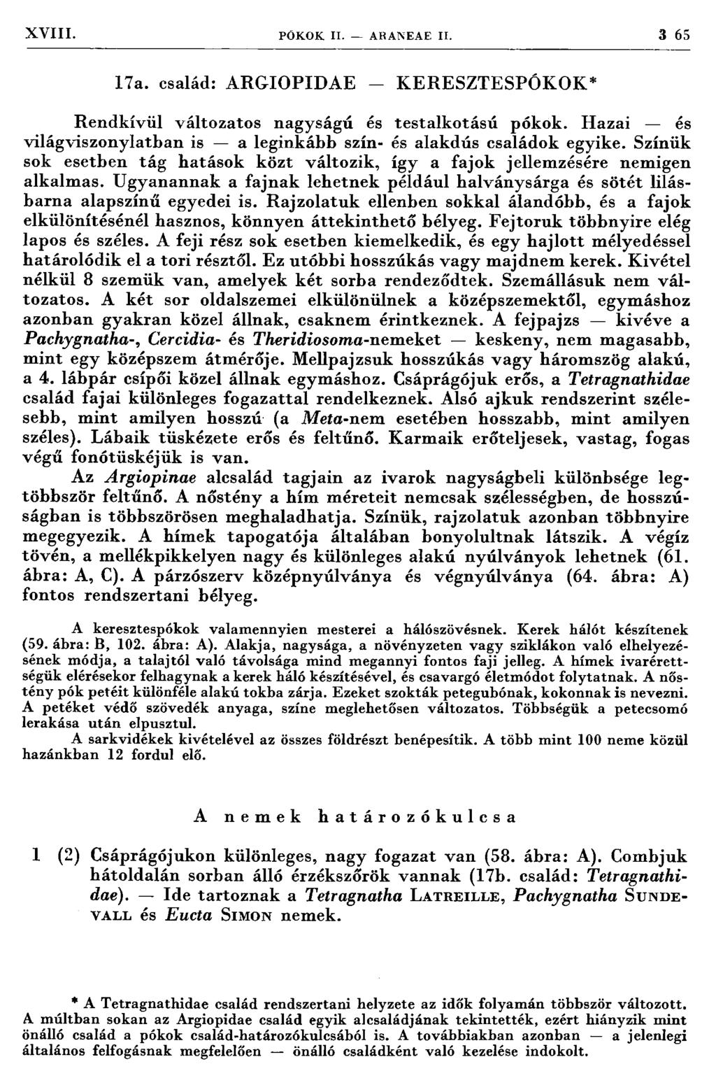 XVIII. PÖ K O K II. ARANEA E II. 3 65 17a. család: A R G IO PID A E - K E R ESZTESPÓ K O K * R endkívül változatos nagyságú és testalk o tású pókok.