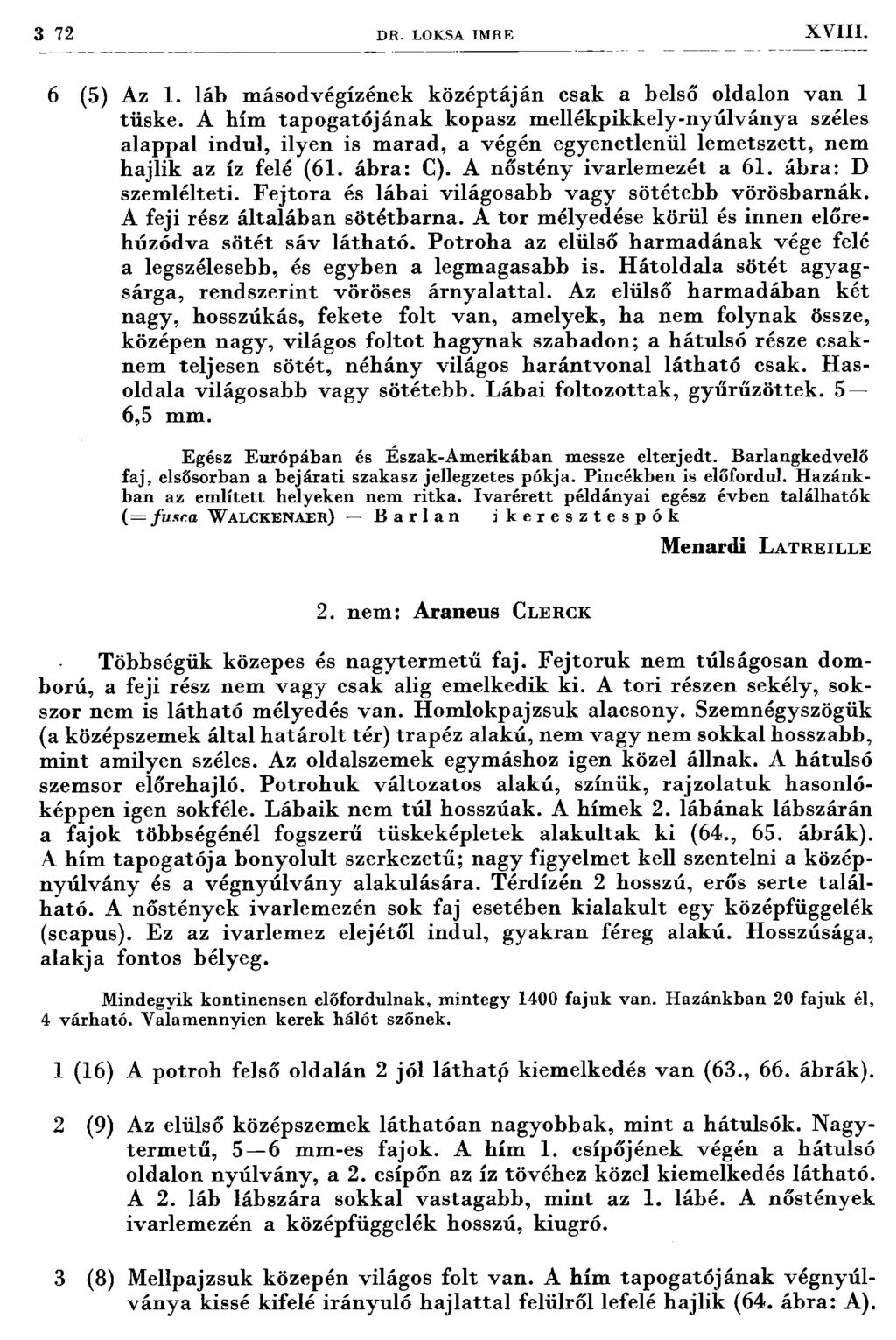 3 72 DR. LOKSA IM RE X V III. 6 (5) Az 1. láb m ásodvégízének középtáján csak a belső oldalon van 1 tüske.