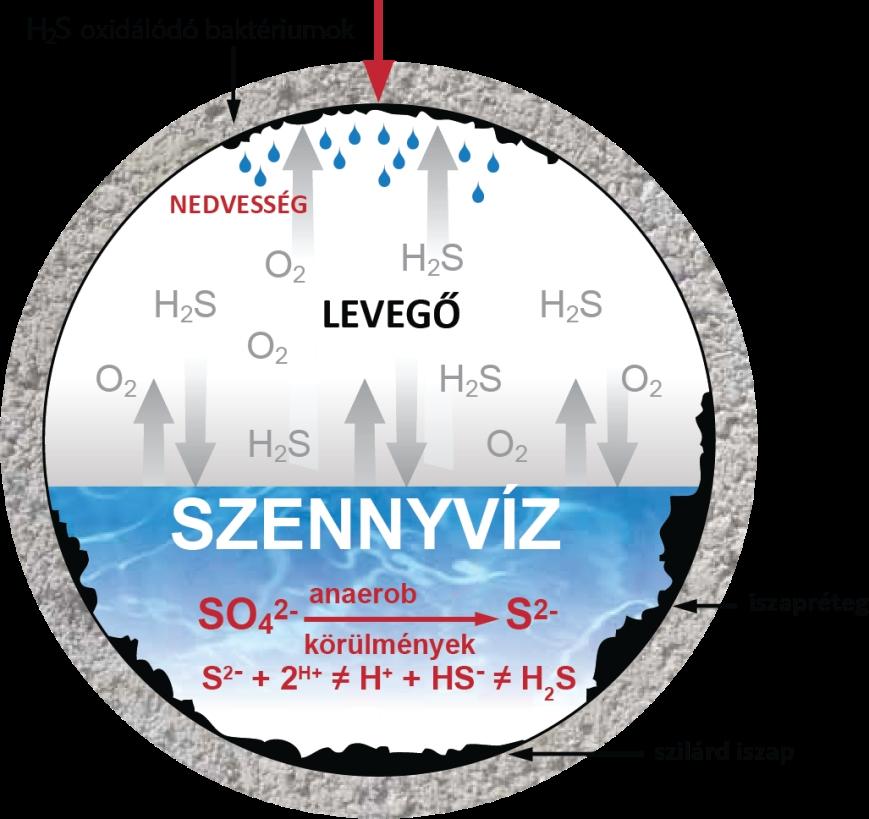 szennyvíztisztító műtárgyakban. Az áthaladási idő alatt a szulfátlebontó baktériumok által anaerob körülmények között termelt, oldott hidrogén-szulfid keletkezik a szennyvízáramban.