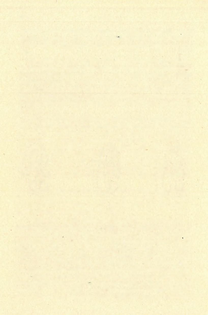 1908 MOTTL mosbachensis-abeli talusoknál, inkább karcsúbbak. Az eddigi anyag alapján úgy látom, hogy ez a mi woldrichink átlagban az E.