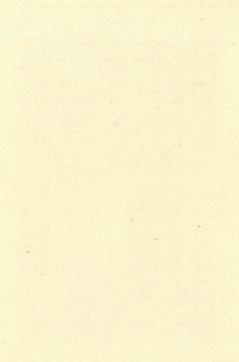 1910 MOTTL A csontmaradványokkal együtt egy emberi állkapocstöredék, ujjperc és két érdekes, a magdalenienbe sorolható csonteszköz került elő.