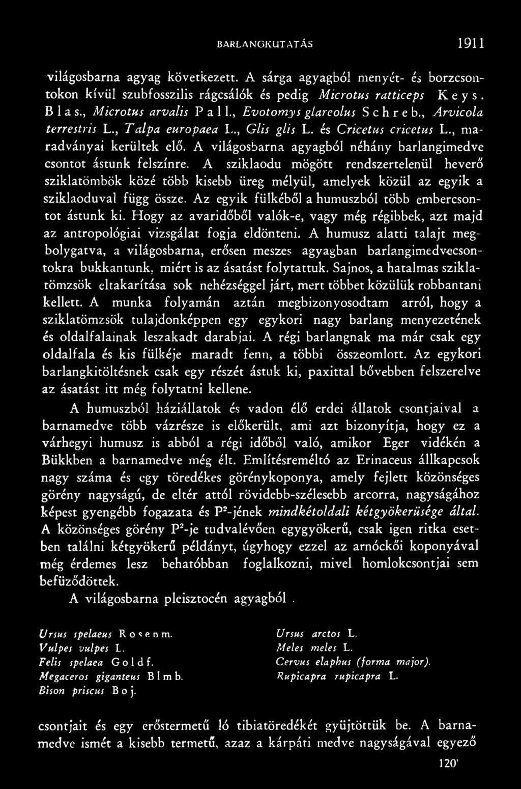 Hogy az avaridőből valók-e, vagy még régibbek, azt majd az antropológiai vizsgálat fogja eldönteni.