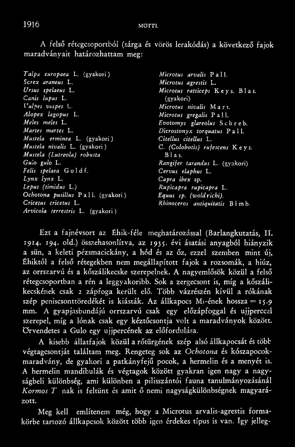 (gyakori) Cervus elaphus L. Capra ibex sp. Rupicapra rupicapra L. Equus sp. (woldrichi). Rhinoceros antiquitatis B 1 m b. Ezt a fajnévsort az Éhik-féle meghatározással (Barlangkutatás, II. 1914. 194.