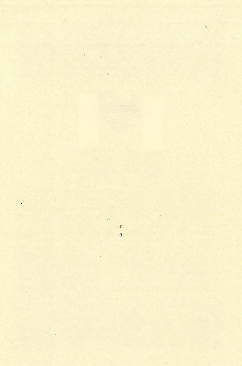 BARLANGKUTATÁS 1 9 1 7 zetes a Mille r-féle M. agrestis exsul alak (G. S. Miller: Catalogue of the Mammals of Western Europe. London 19 12, p. 670, Fig.