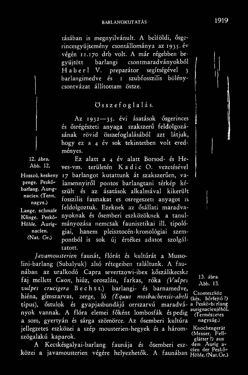 Peskő lamennyiről pontos barlangtani térkép kébarlang. Aurig szjj[t s az ásatások alkalmával kikerült nácién. <Term. r... r. fosszilis faunakat es osregeszeti anyagot is nagys.
