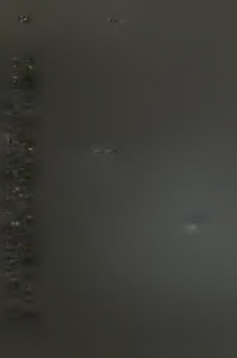 > Összeállították : M o t 1 1 M.