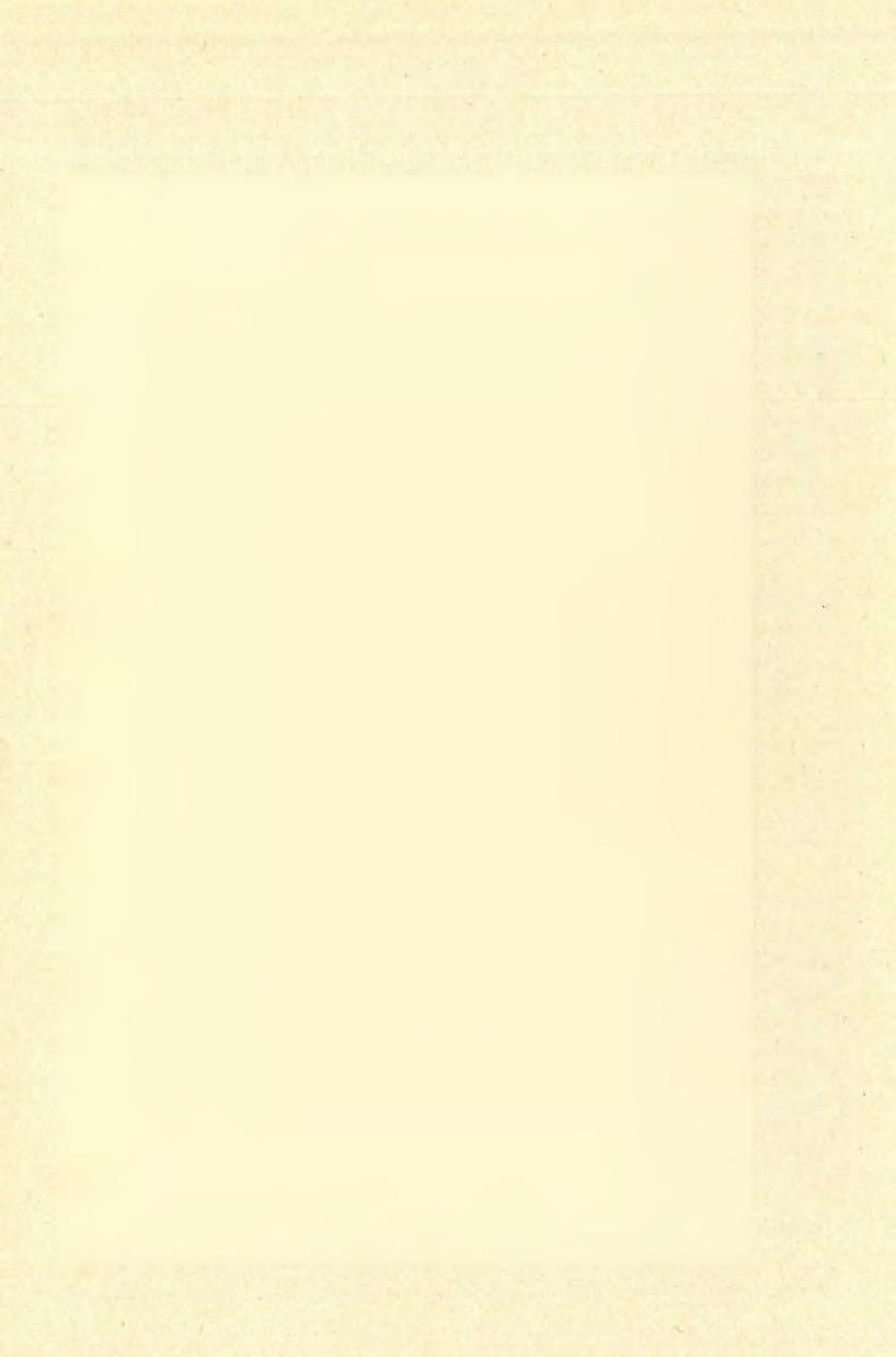BARLANGKUTATÁS 1921 15. ábra. Bölénycsontváz.
