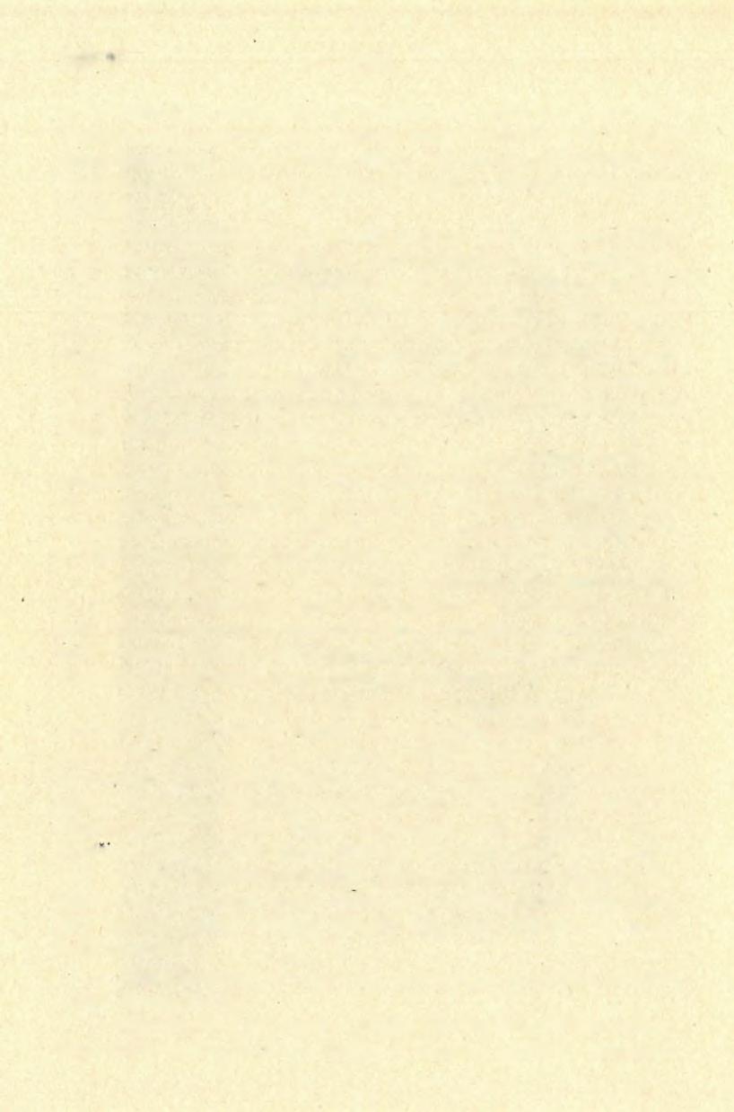 1 9 2 2 M OTTL a barlangimedve mellett sok az óriásgím, az orrszarvú és az ősbölénycsont. A rénszarvas ezzel szemben nagyon ritka és a ló is Equus mosbachensis-abeli.