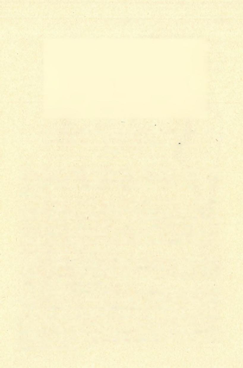 b a r l a n g k u t a t á s 1901 1-2. ábra. Abb. 1-2. Csonka Y és T alakú eszköz a Mussolíni-barlangbóf. <Későmous érién,> Természetes nagyság. Y und T förmiges Steingerät aus der Mussolíni=Höhle.