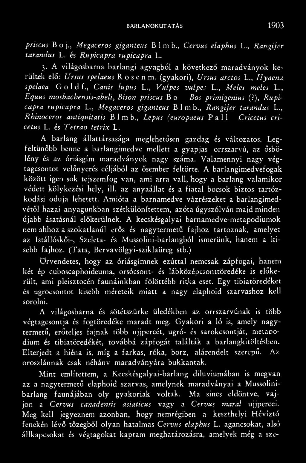 Valamennyi nagy végtagcsontot velőnyerés céljából az ősember feltörte. A barlangimedvefogak között igen sok tejszemfog van, ami arra vall, ihogy a barlang valamikor védett kölykezési hely, ill.