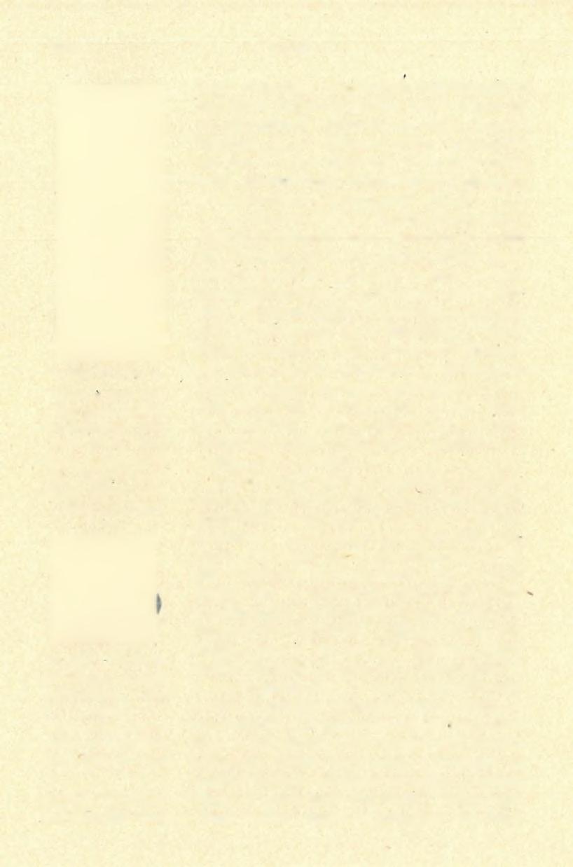 1904 MOTTI. 4. ábra. Abb. 4. Lame a encoche"* jellegű penge. Kecskés* galyai*barlang. Mous* térién. (Term. nagys.) Lame á encoche"=för* mige Kiinge. Kecskés* galyaer Höhle. Mous* térien. (Nat. Gr.) 5.